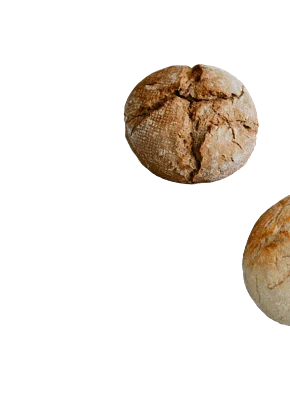 bread